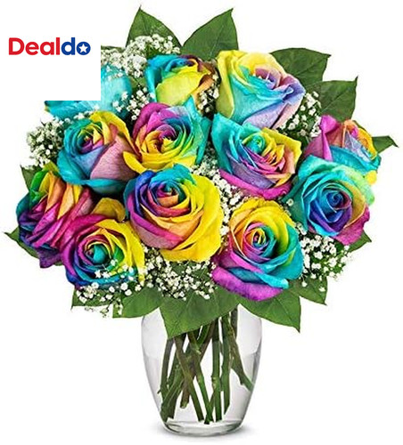 One dozen wild rainbow - dozen,